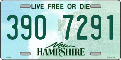 NH license plate 3907291