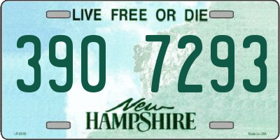 NH license plate 3907293