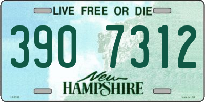 NH license plate 3907312