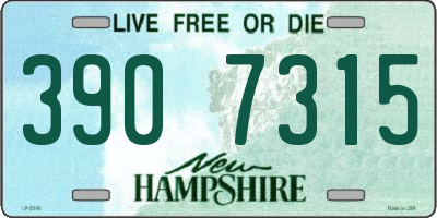 NH license plate 3907315