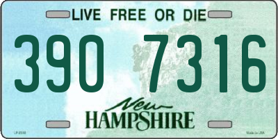 NH license plate 3907316