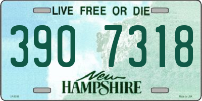 NH license plate 3907318