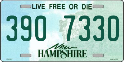 NH license plate 3907330