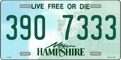 NH license plate 3907333