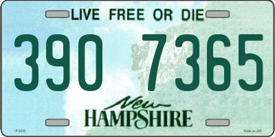 NH license plate 3907365