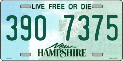 NH license plate 3907375