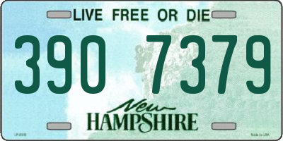 NH license plate 3907379