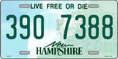 NH license plate 3907388