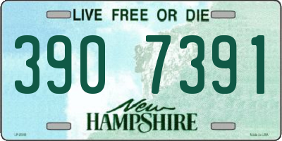 NH license plate 3907391