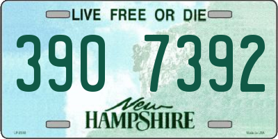 NH license plate 3907392