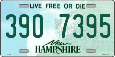 NH license plate 3907395