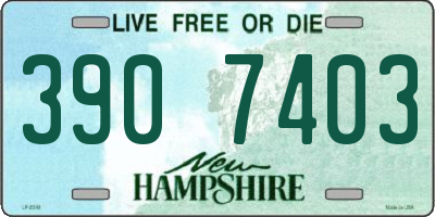 NH license plate 3907403