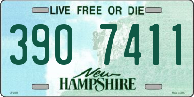 NH license plate 3907411