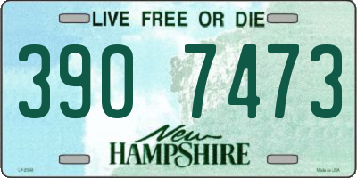 NH license plate 3907473