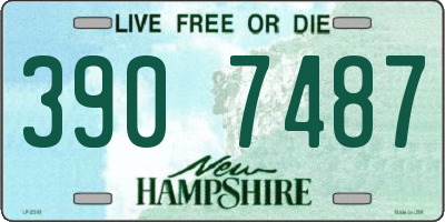 NH license plate 3907487