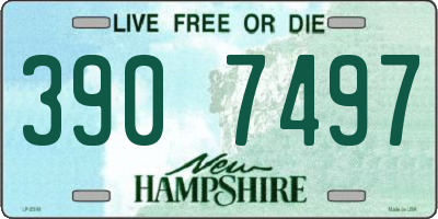 NH license plate 3907497