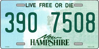 NH license plate 3907508