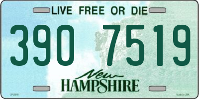 NH license plate 3907519