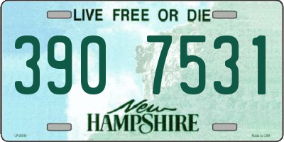 NH license plate 3907531