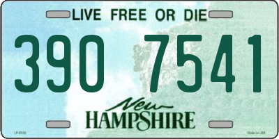 NH license plate 3907541