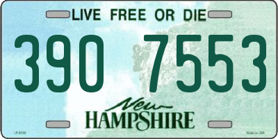 NH license plate 3907553