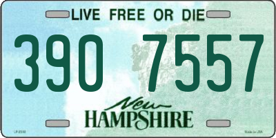 NH license plate 3907557