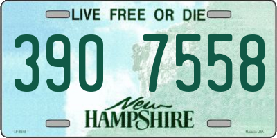 NH license plate 3907558