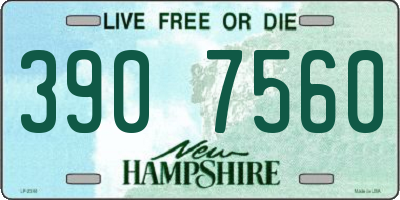 NH license plate 3907560