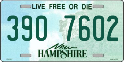 NH license plate 3907602