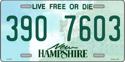 NH license plate 3907603