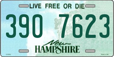 NH license plate 3907623