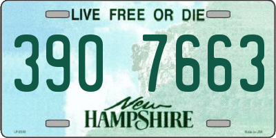 NH license plate 3907663