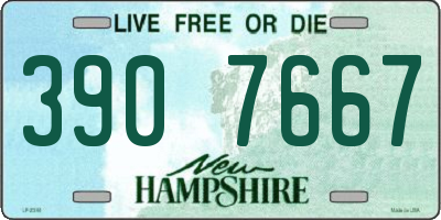 NH license plate 3907667