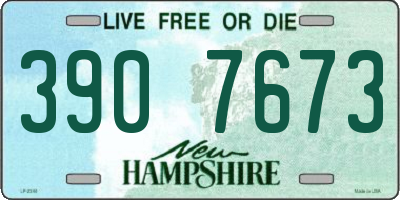 NH license plate 3907673