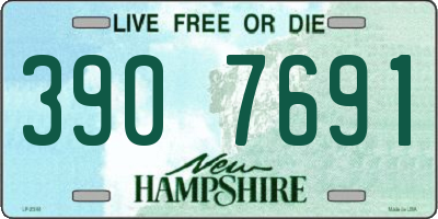 NH license plate 3907691