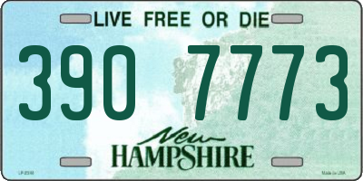 NH license plate 3907773