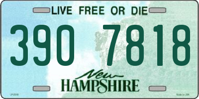 NH license plate 3907818