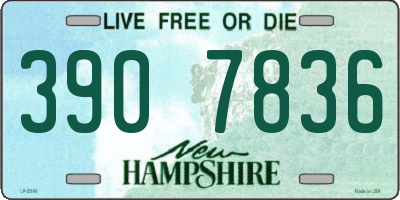 NH license plate 3907836