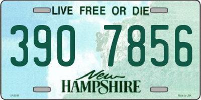 NH license plate 3907856