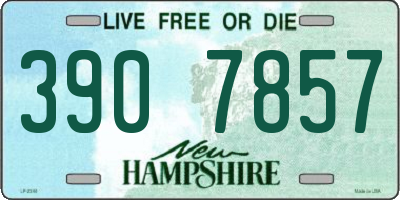 NH license plate 3907857