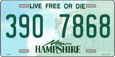 NH license plate 3907868