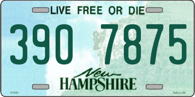 NH license plate 3907875