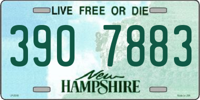 NH license plate 3907883