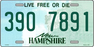 NH license plate 3907891