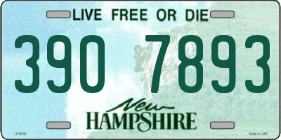 NH license plate 3907893