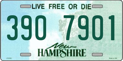 NH license plate 3907901