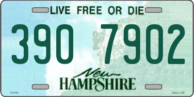 NH license plate 3907902