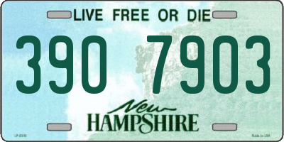 NH license plate 3907903