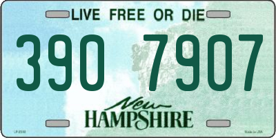 NH license plate 3907907