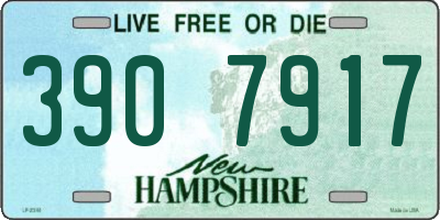 NH license plate 3907917
